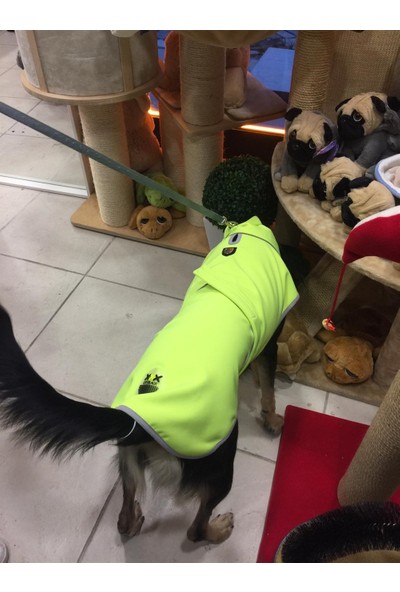 Lindodogs Softshell Neon Sarı Köpek Yağmurluğu