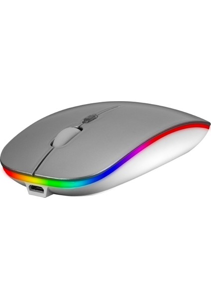 SMW-306R Gümüş 1600DPI Şarjlı Kablosuz Mouse Rgb Mouse