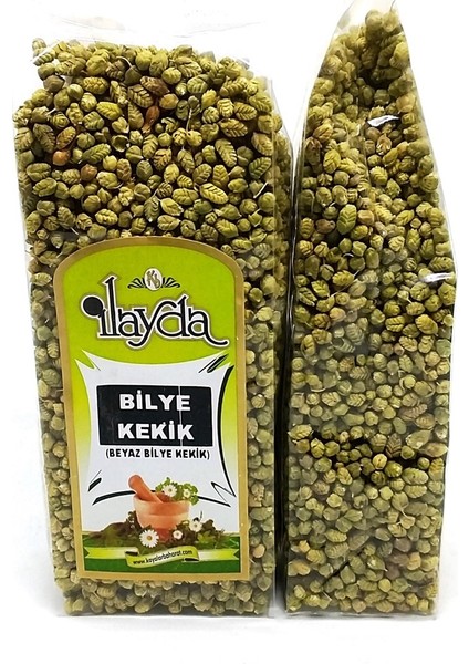 Bilye Kekik