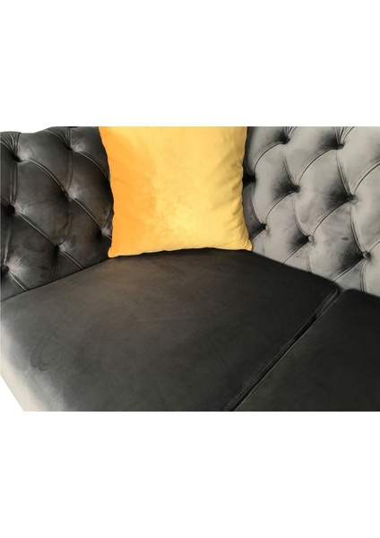 Antirisit Modern Gri Chesterfield