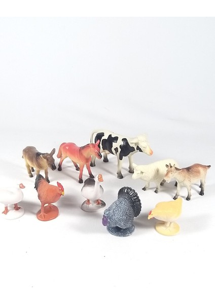 Vardem Dinozor, Çiftlik, Vahşi ve Deniz Hayvanları Oyun Setleri 10 Parça Özel Kutusunda