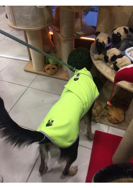 dogs Softshell Neon Sarı Köpek Yağmurluğu