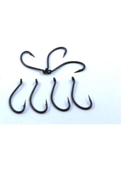 Carp 2407 Carp-Tf #4