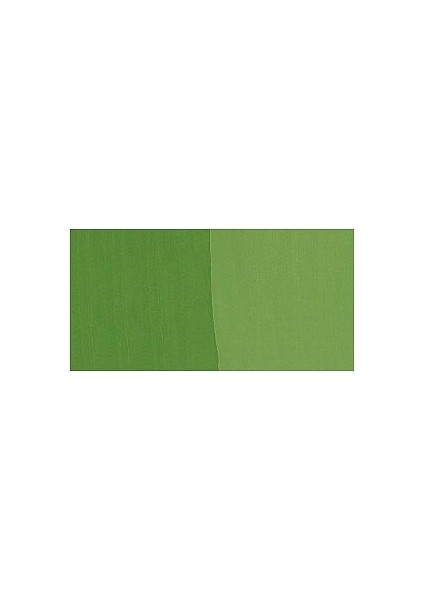 Winsor & Newton : Designers Guaj Boya : 14 ml : Sap Green 599 S.2