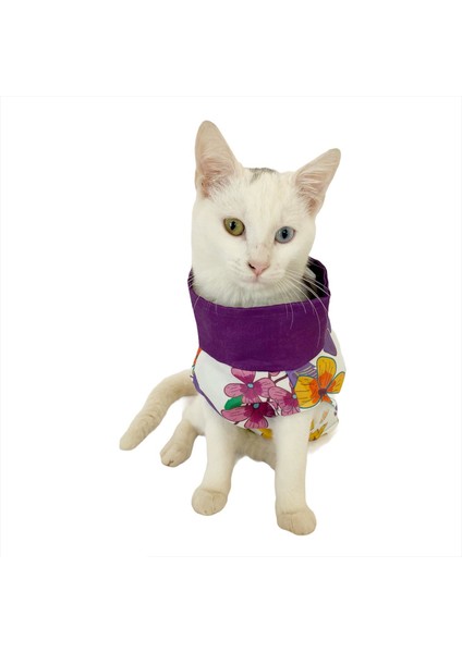 Pink Stars Su Itici Yağmurluk Kedi Yağmurluğu fırsatları