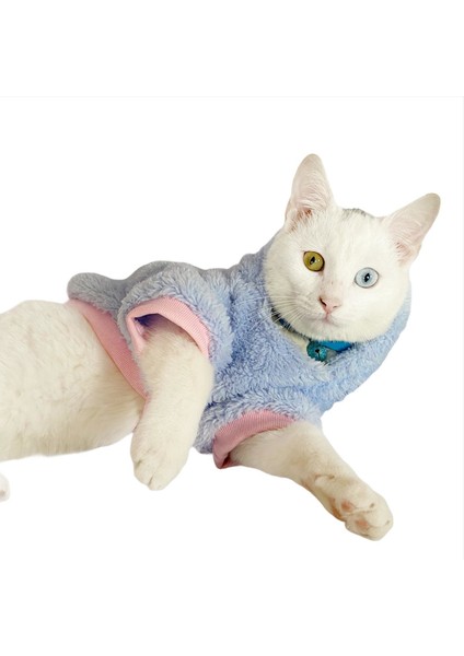 Softie Blue Bunny Kapsonlu Sweatshirt Kedi Süeteri Kedi Kıyafeti fiyatları