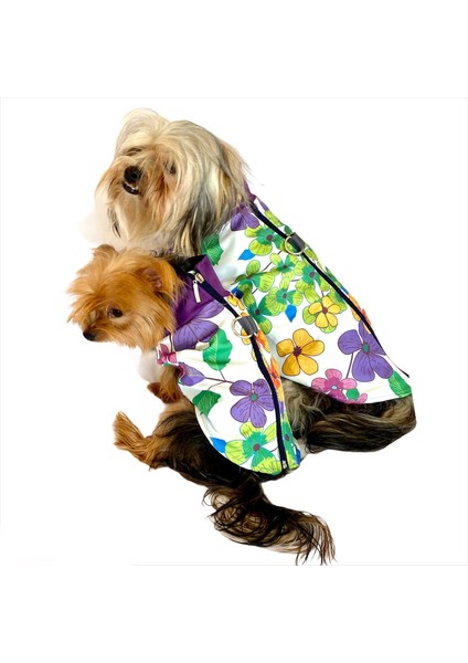 Flower Power Su Itici Yağmurluk Köpek Yağmurluğu