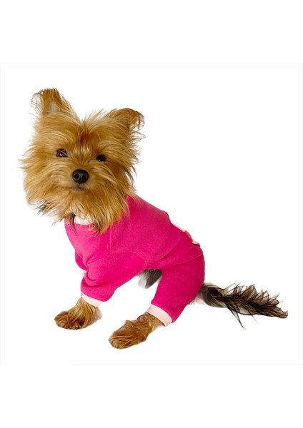 Pink Hearts Polar Kapşonlu Köpek Tulumuköpek Kıyafeti fiyatları