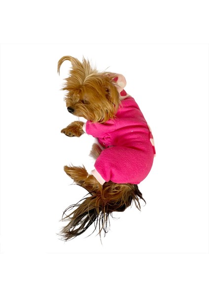 Pink Hearts Polar Kapşonlu Köpek Tulumuköpek Kıyafeti indirimleri