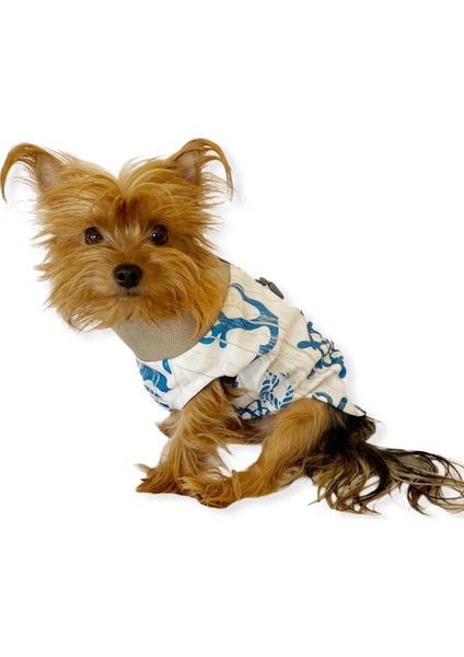 Blue Nautica Su Itici Yağmurluk Köpek Yağmurluğu modelleri