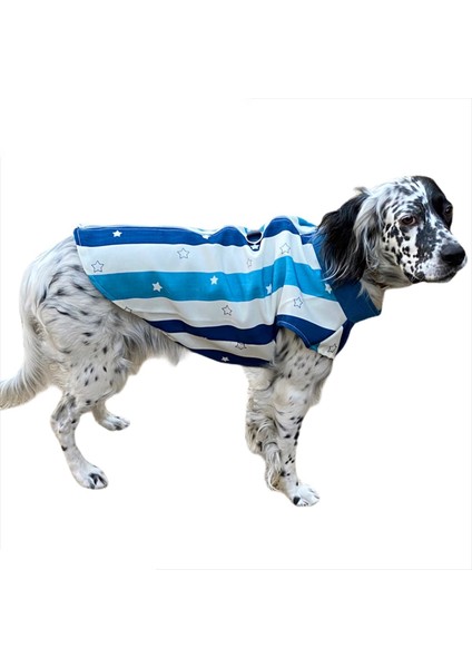 Blue Stars Su Itici Köpek Yağmurluğu , Orta ve Büyük Irklar Için Yağmurluk