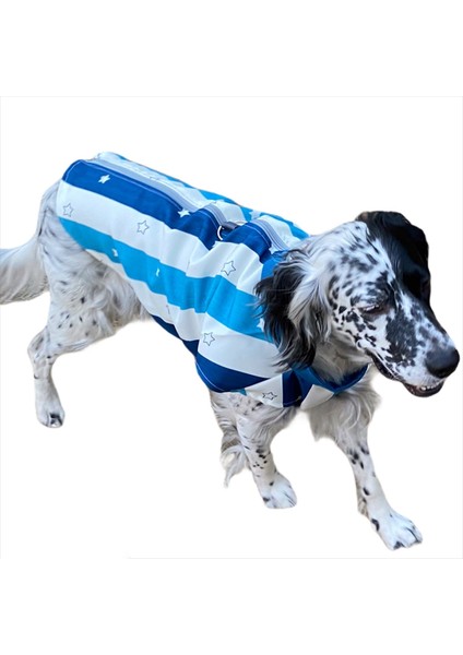 Blue Stars Su Itici Köpek Yağmurluğu , Orta ve Büyük Irklar Için Yağmurluk indirimleri