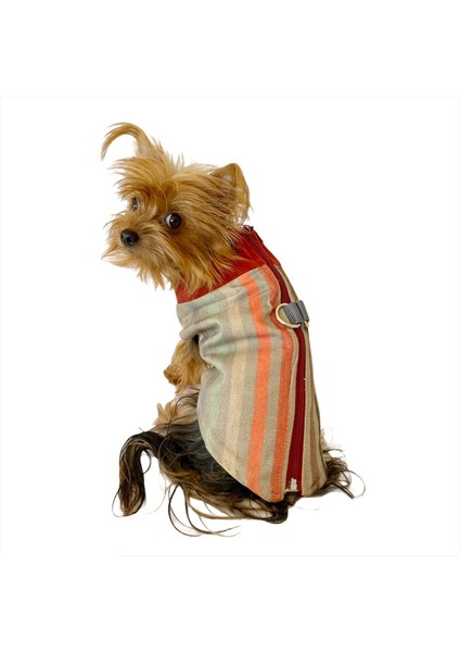 Stripe Bordo Su Itici Yağmurluk Köpek Yağmurluğu
