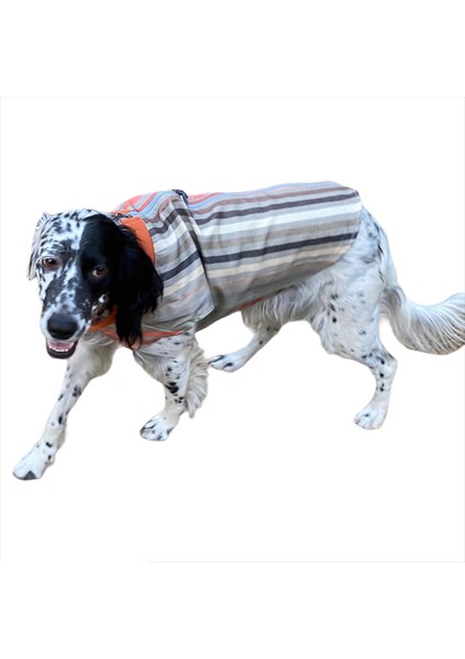 Stripe Orange Köpek Ceketi, Orta ve Büyük Irklar Için