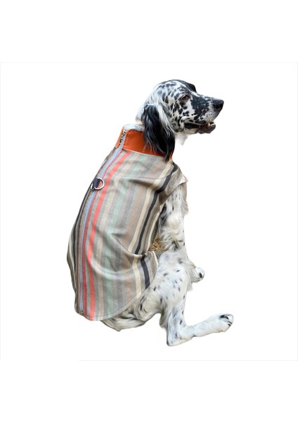 Stripe Orange Köpek Ceketi, Orta ve Büyük Irklar Için