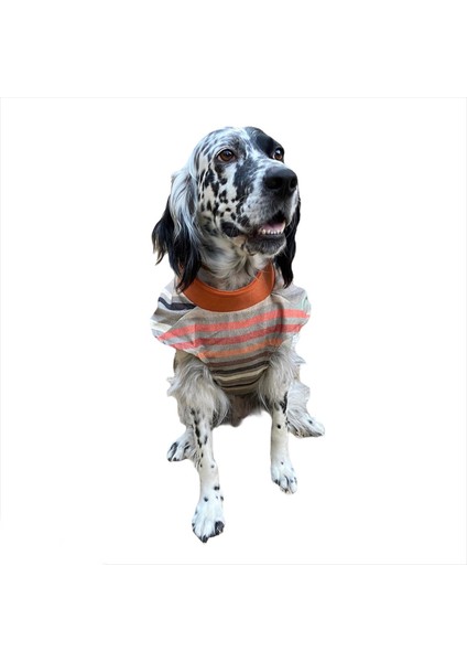 Stripe Orange Köpek Ceketi, Orta ve Büyük Irklar Için