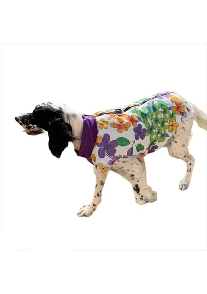 Flower Power Su Itici Köpek Yağmurluğu , Orta ve Büyük Irklar Için Yağmurluk