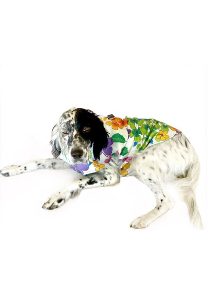 Flower Power Su Itici Köpek Yağmurluğu , Orta ve Büyük Irklar Için Yağmurluk