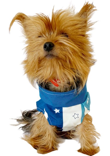 Blue Stars Su Itici Yağmurluk Köpek Yağmurluğu