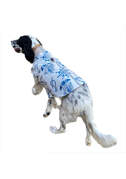 Blue Nautica Su Itici Köpek Yağmurluğu , Orta ve Büyük Irklar Için Yağmurluk