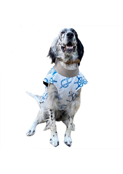 Blue Nautica Su Itici Köpek Yağmurluğu , Orta ve Büyük Irklar Için Yağmurluk