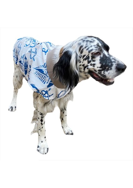 Blue Nautica Su Itici Köpek Yağmurluğu , Orta ve Büyük Irklar Için Yağmurluk