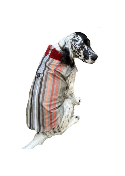 Stripe Bordo Köpek Ceketi, Orta ve Büyük Irklar Için