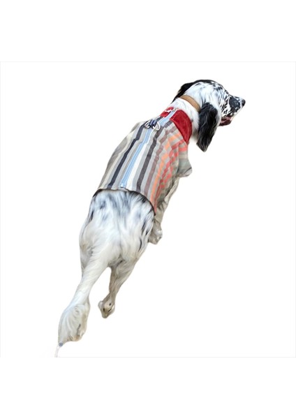 Stripe Bordo Köpek Ceketi, Orta ve Büyük Irklar Için