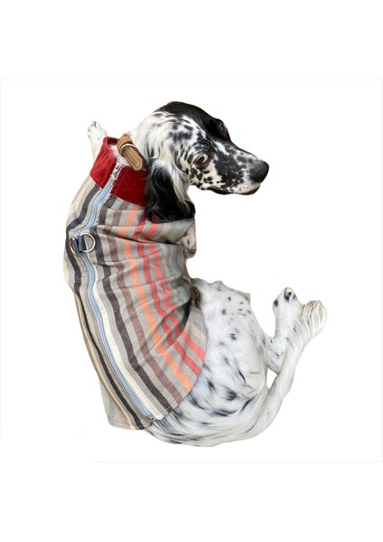 Stripe Bordo Köpek Ceketi, Orta ve Büyük Irklar Için