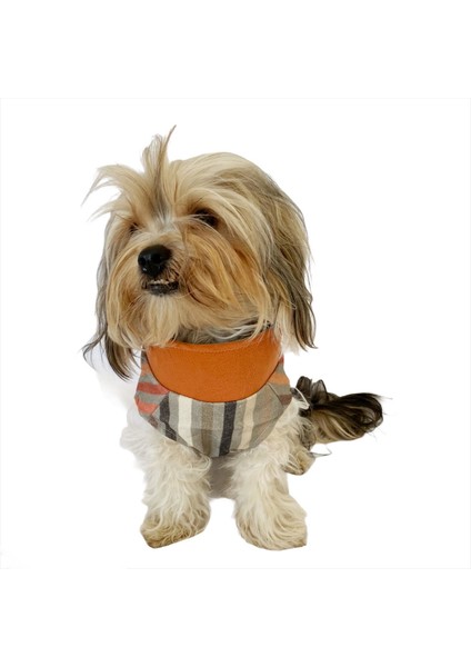 Stripe Orange Su Itici Yağmurluk Köpek Yağmurluğu fiyatları