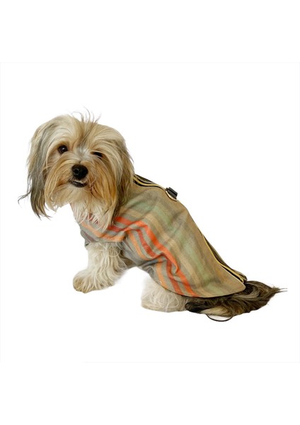 Stripe Orange Su Itici Yağmurluk Köpek Yağmurluğu indirimleri