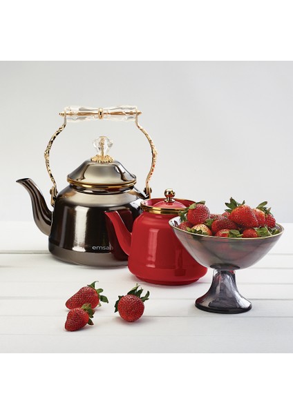 Troy Vintage İndüksiyon Tabanlı Siyah Kettle