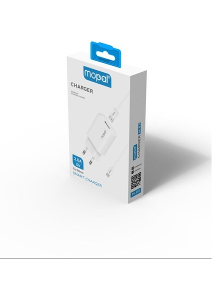 2.0A 5V Micro USB Şarj Aleti