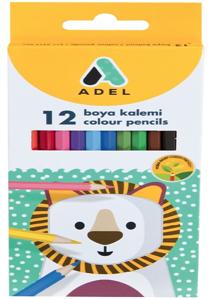 Kuru Boya Karton Kutu Tam Boy 12 Renk