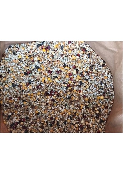 Güvercin Yemi Buğdaysız Süper Karışık 5 kg