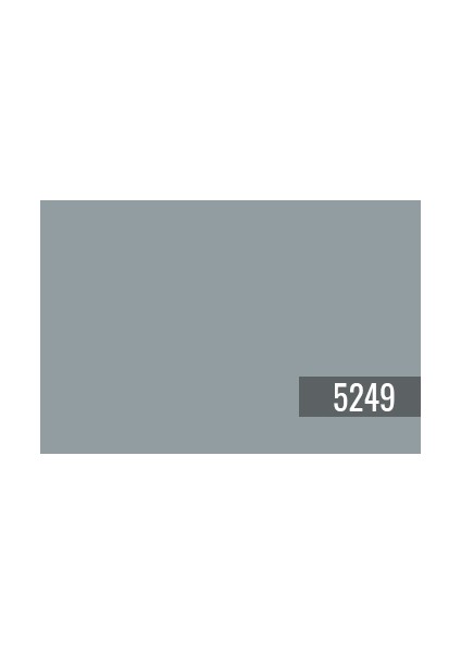 Arctic Grey 5249 Fenomastic Güzel Evim Serisi Zengin Mat 13 LT fiyatları