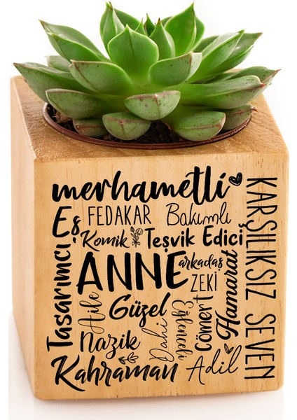 Canım Anneme Hediye Ahşap Saksılı Sukulent Naturacube