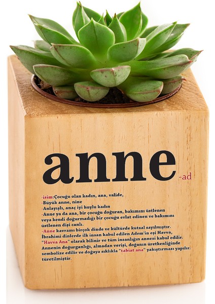 Anne Anlamı Anneler Günü Hediyesi Sukulent Naturacube