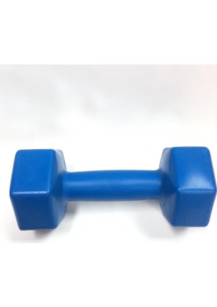 1 x 2 kg Plastik Dambıl fiyatları