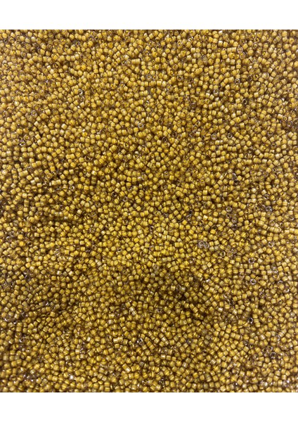 Miyuki Delica Boncuk