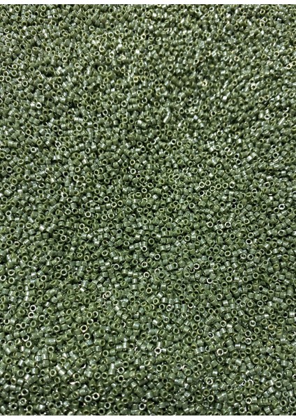 Miyuki Delica Boncuk