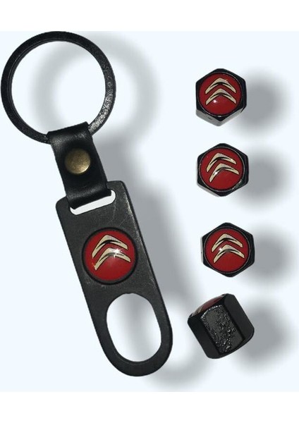 Citroen Araba Oto Metal Sibop Kapak