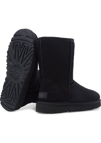 1016223 W Classic Short II Black fırsatları