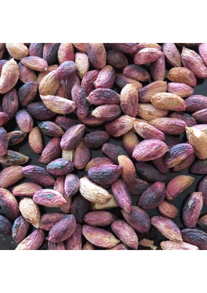 m Ağaç Altı (Kuru Kırmızı Kabuklu) Antep Fıstığı 950 gr fiyatları