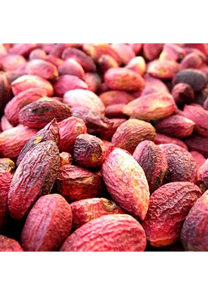 m Ağaç Altı (Kuru Kırmızı Kabuklu) Antep Fıstığı 950 gr modelleri