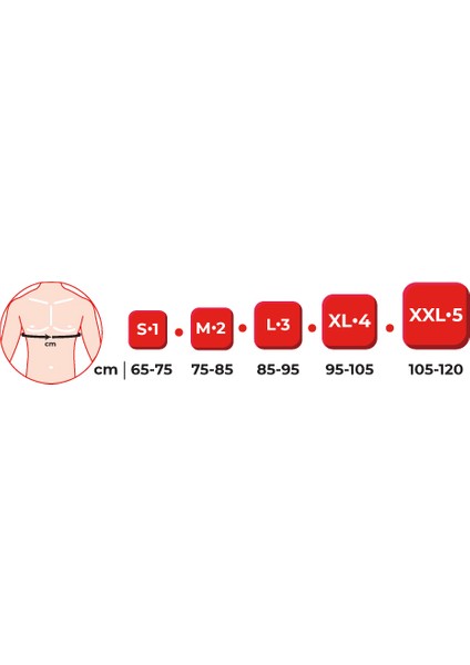 Göğüs Korsesi 137