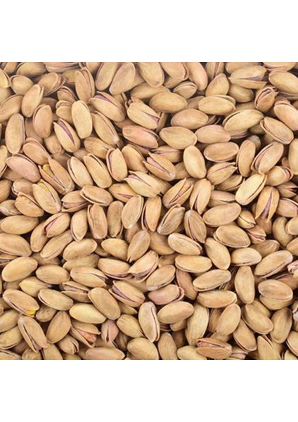 m Kavrulmuş Naturel Antep Fıstığı 700 gr fiyatları