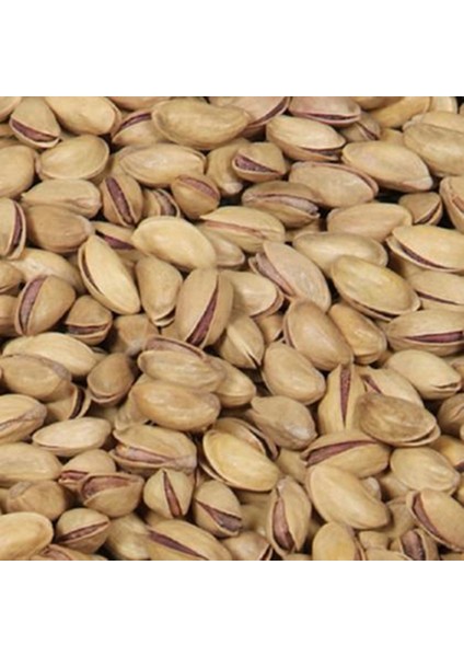 m Ekstra Lüks Ana Çıtlak (Kavrulmuş) Antep Fıstığı 650 gr modelleri