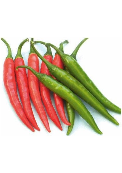 Murat Tohum Acı Arnavut Biberi Tohumu (Cayanne) Biberi 20 Adet Tohum