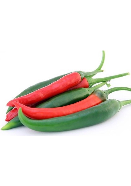 Murat Tohum Acı Arnavut Biberi Tohumu (Cayanne) Biberi 20 Adet Tohum fiyatları